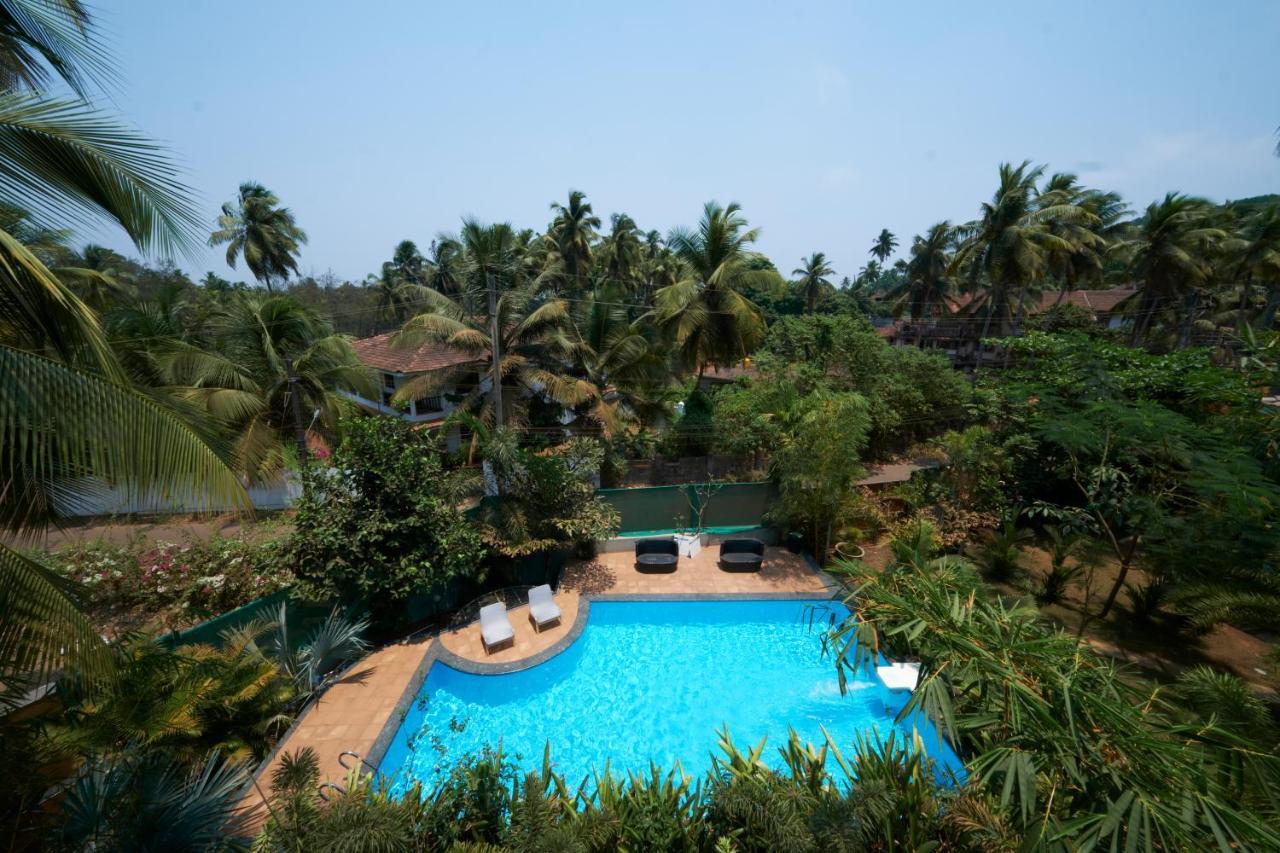 Fig House Anjuna-Chapora Road , Siolim 1Bhk Suite Oxel Екстериор снимка