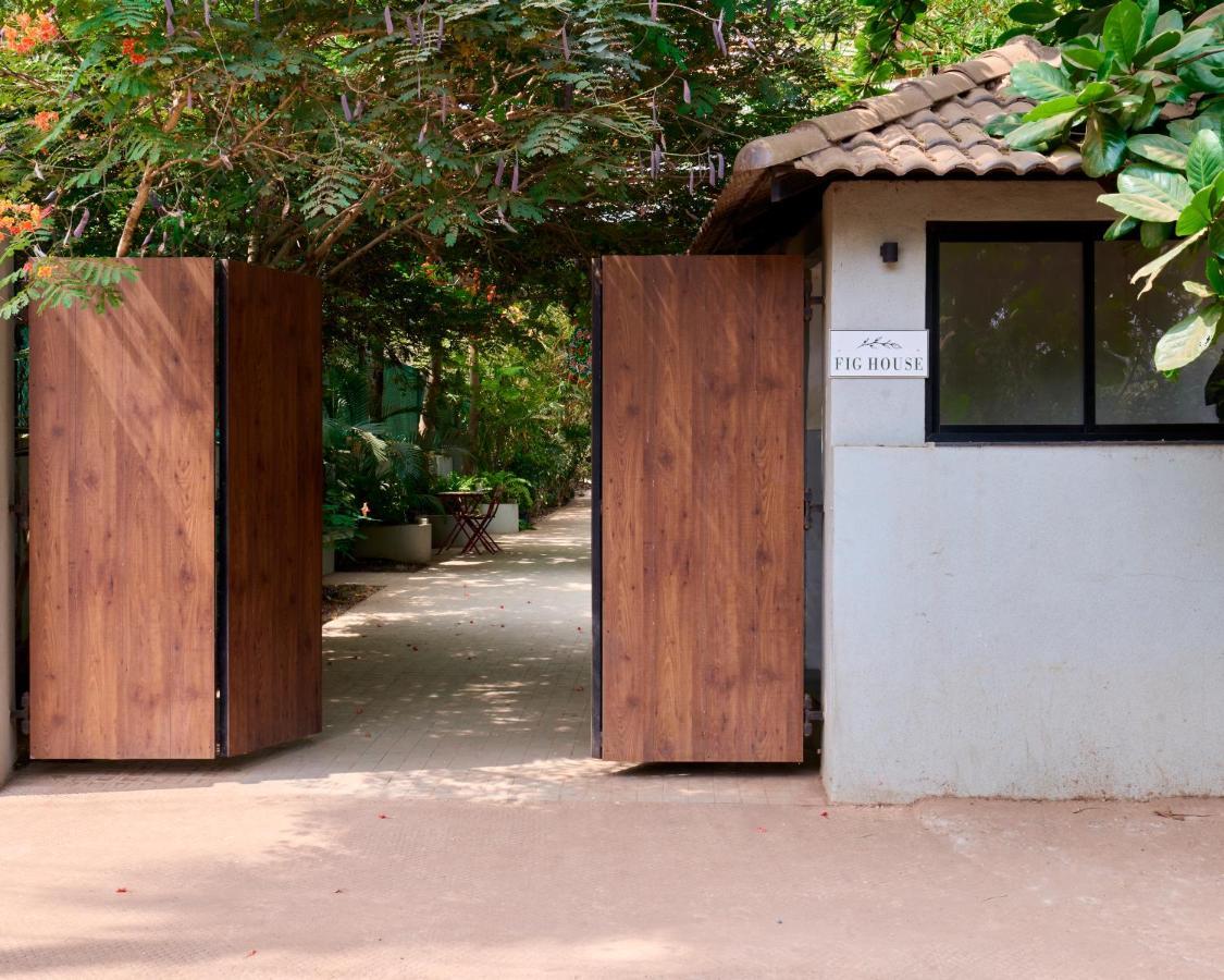 Fig House Anjuna-Chapora Road , Siolim 1Bhk Suite Oxel Екстериор снимка
